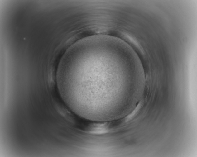 X0000089760170200706211550