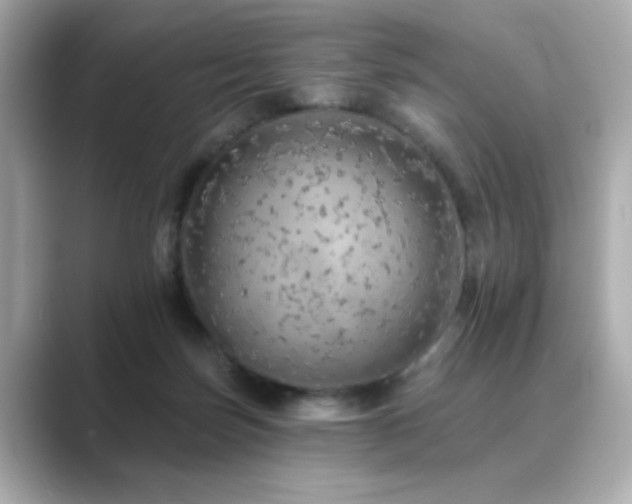 X0000089760171200706211550