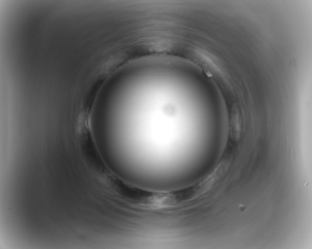 X0000089760172200706211550