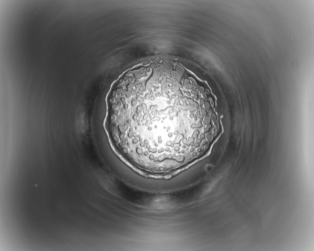 X0000089760173200706211550
