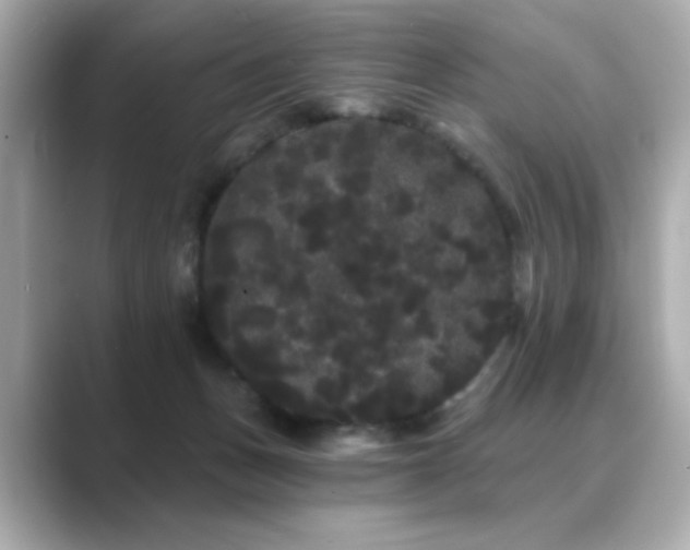 X0000089760175200706211550