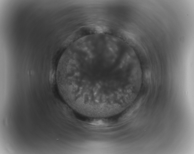 X0000089760177200706211550