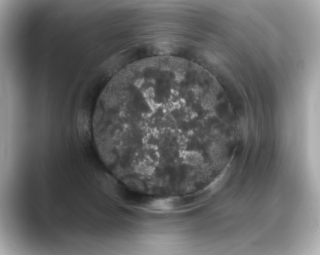 X0000089760178200706211550