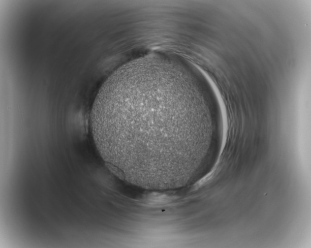 X0000089760180200706211550