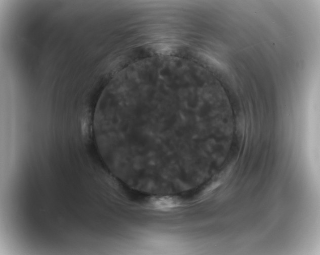 X0000089760181200706211550