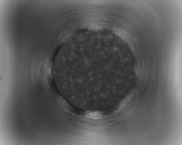 X0000089760185200706211550