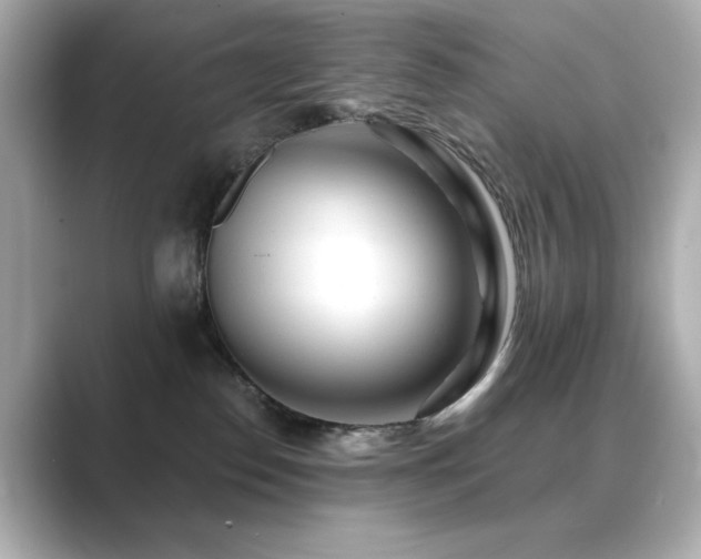 X0000089760186200706211550