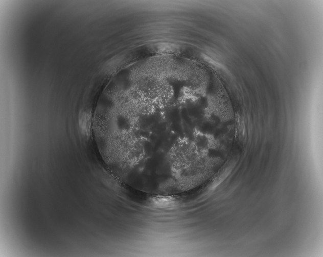 X0000089760189200706211550