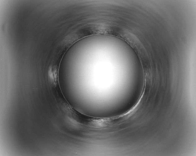 X0000089760190200706211550