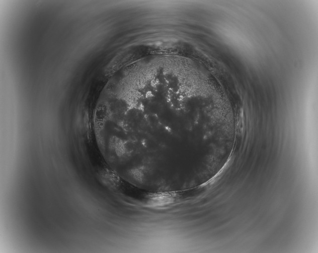 X0000089760191200706211550
