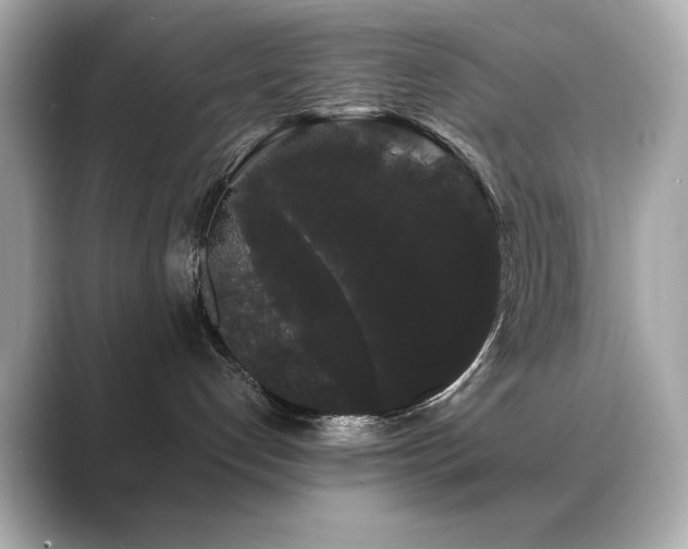 X0000089760192200706211550