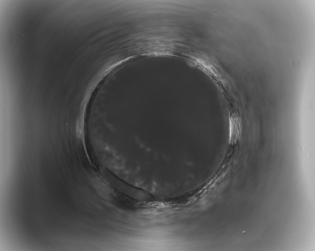 X0000089760195200706211549