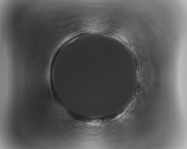 X0000089760196200706211549