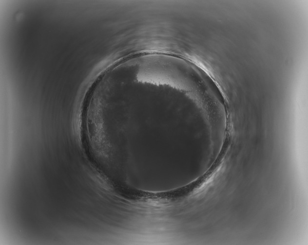 X0000089760199200706211549