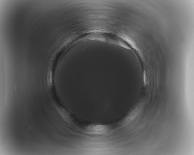 X0000089760205200706211549
