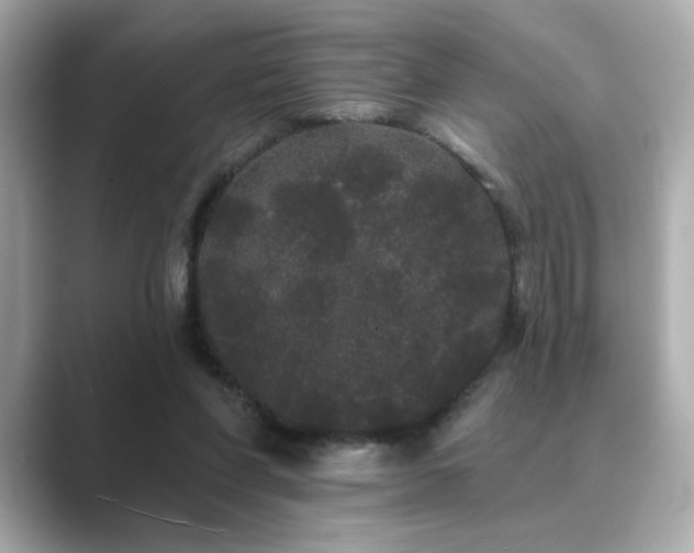 X0000089760206200706211549