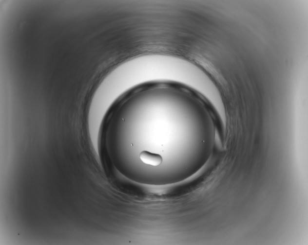 X0000089760207200706211549