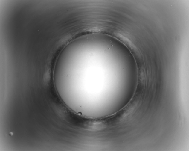 X0000089760208200706211549