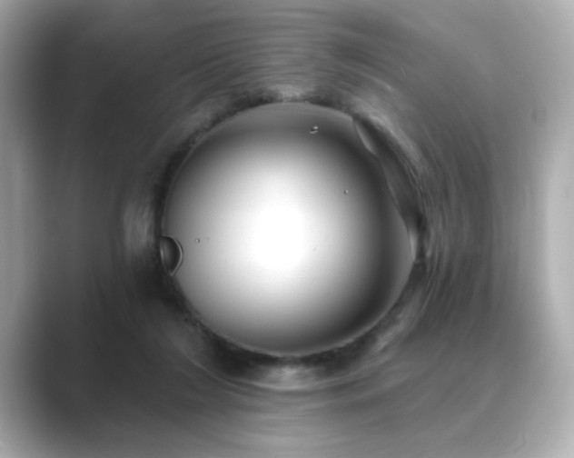 X0000089760212200706211549