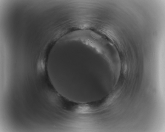 X0000089760214200706211549