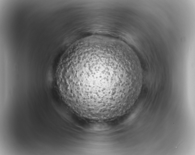 X0000089760215200706211549