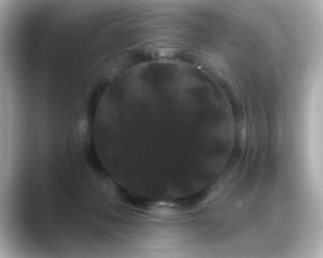 X0000089760222200706211549