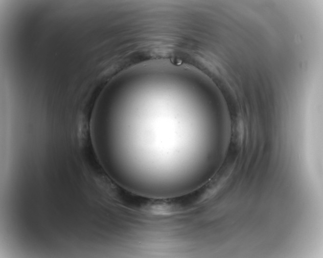 X0000089760228200706211549