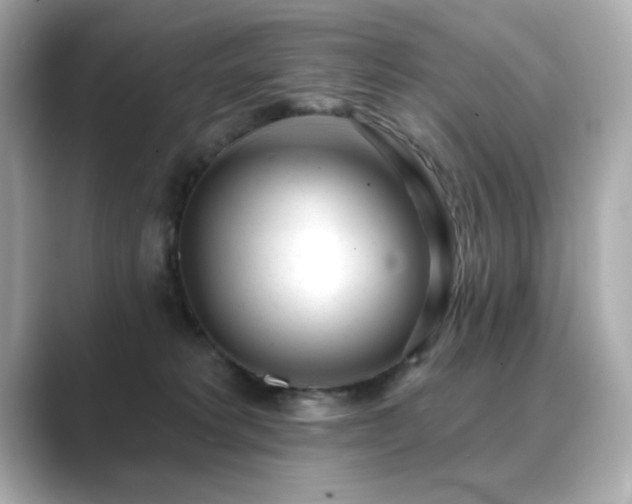 X0000089760229200706211549