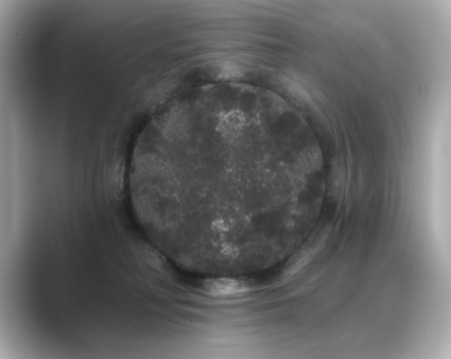 X0000089760230200706211549
