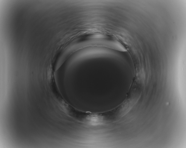 X0000089760231200706211549