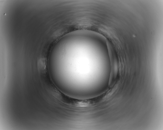 X0000089760232200706211549