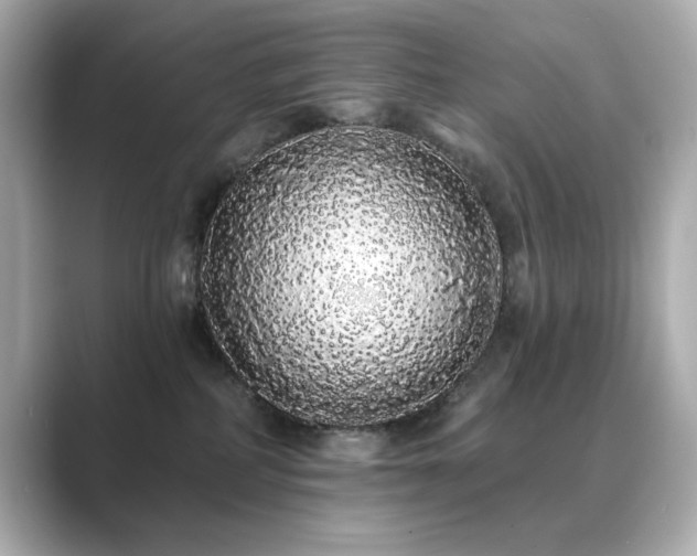 X0000089760234200706211549