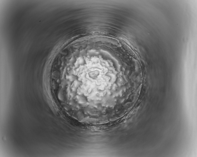 X0000089760241200706211548