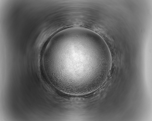 X0000089760242200706211548