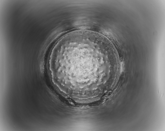 X0000089760243200706211548