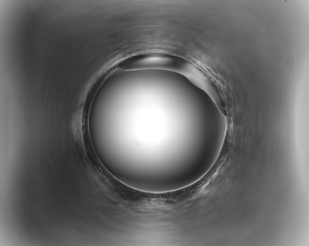 X0000089760244200706211548