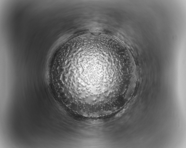 X0000089760245200706211548