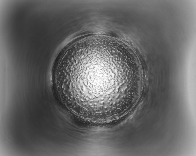 X0000089760246200706211548