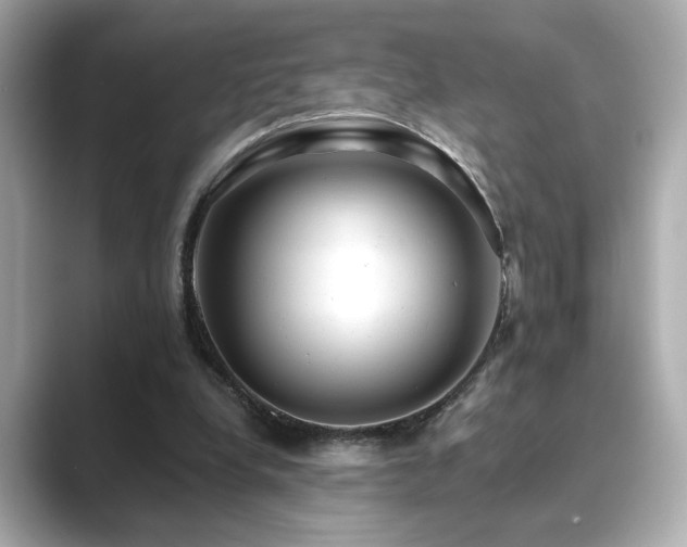 X0000089760248200706211548