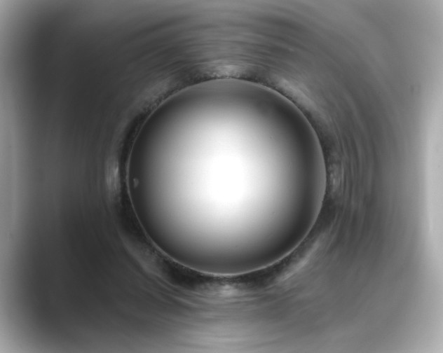 X0000089760254200706211548