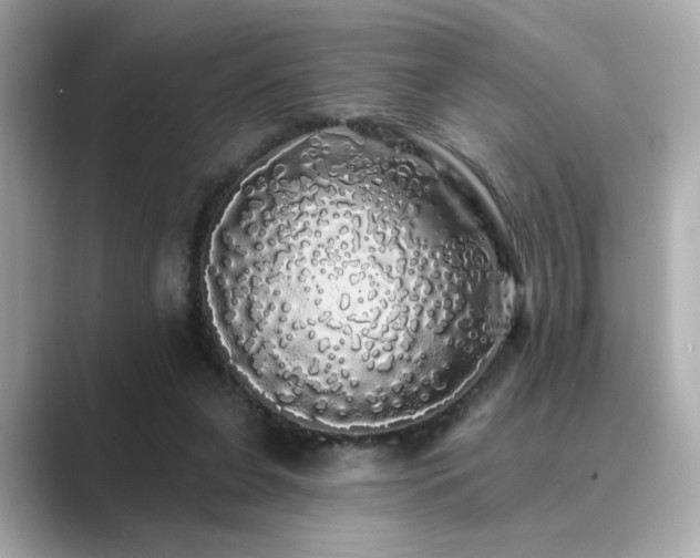 X0000089760255200706211548