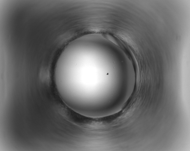 X0000089760256200706211548
