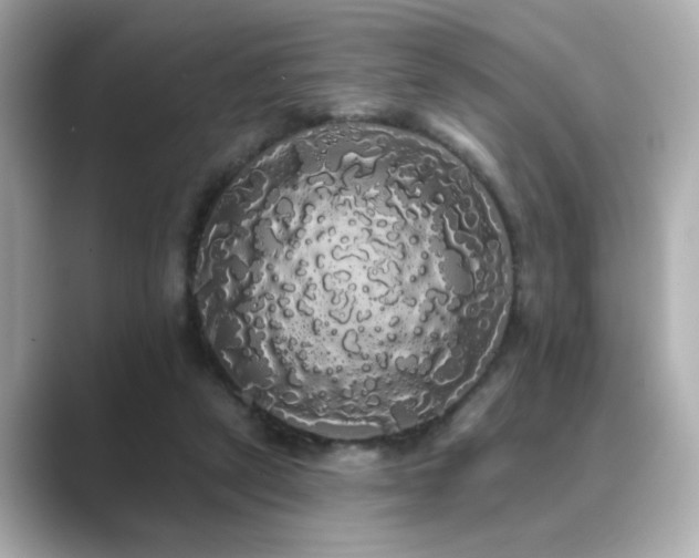 X0000089760257200706211548