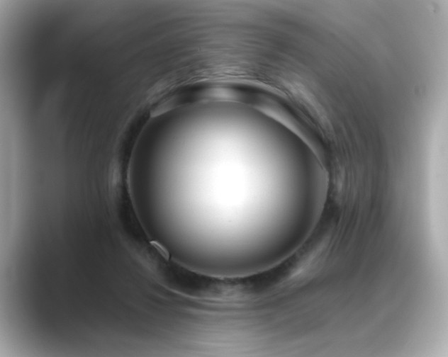 X0000089760260200706211549