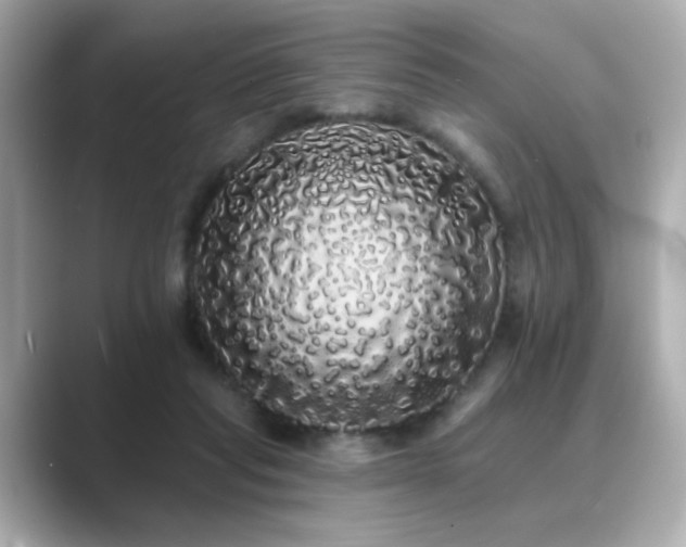 X0000089760261200706211549