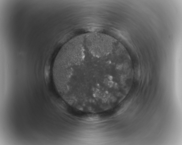 X0000089760263200706211549