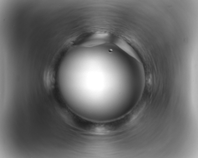 X0000089760264200706211549