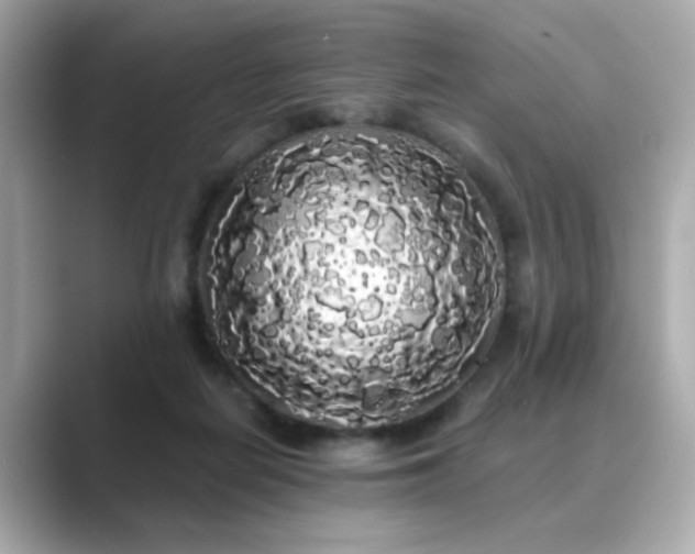 X0000089760266200706211549