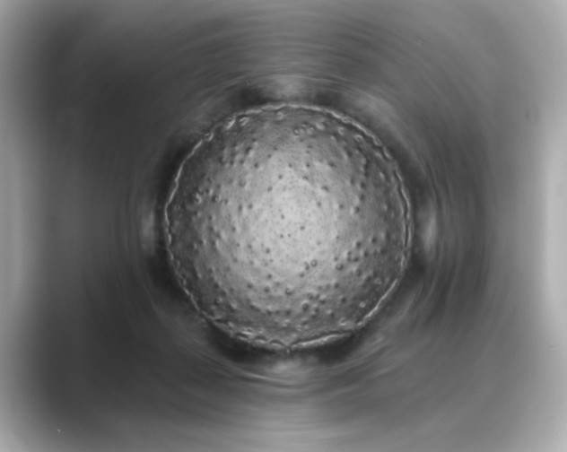 X0000089760267200706211549