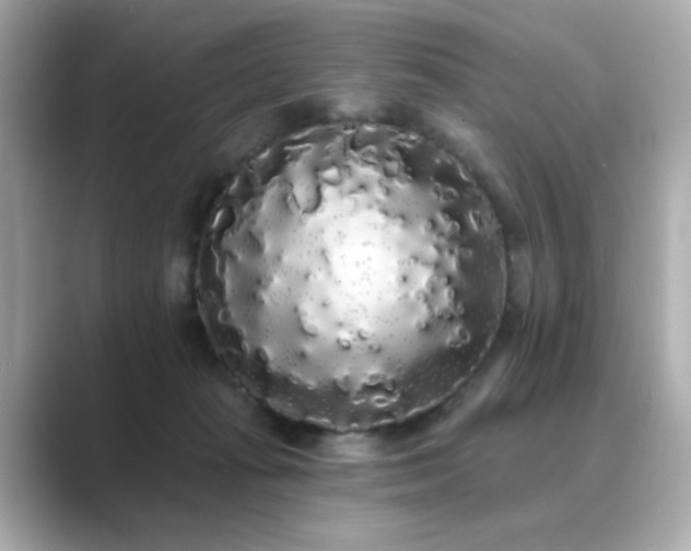 X0000089760269200706211549